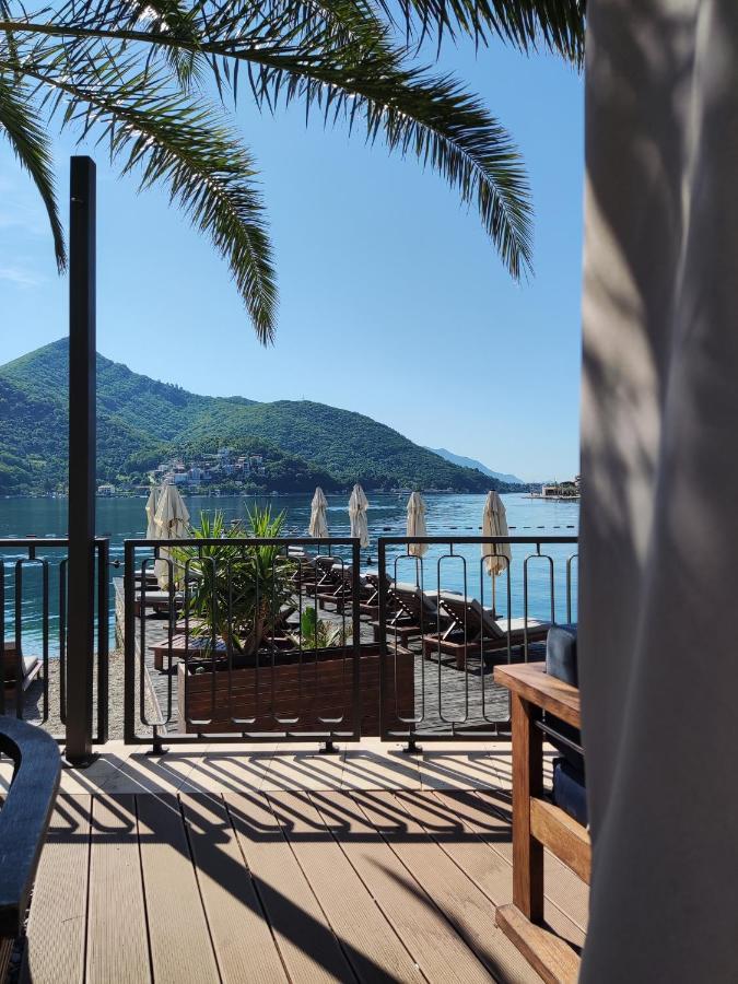 Montenegro Colors *
