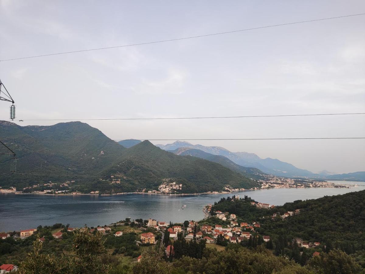 Апартаменты Montenegro Colors *
